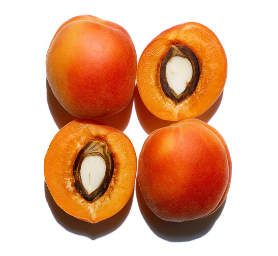 Apricot-Organic apricot oil-Prunus armeniaca (apricot) kernel oil