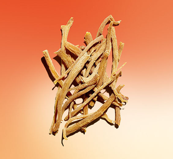 Ginseng-Ginseng extract-Panax ginseng root extract