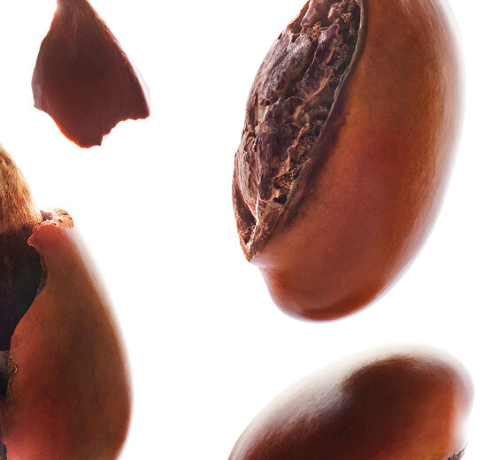 Shea Tree-Shea unsaponifiable (organic plant)-Butyrospermum parkii (shea) butter