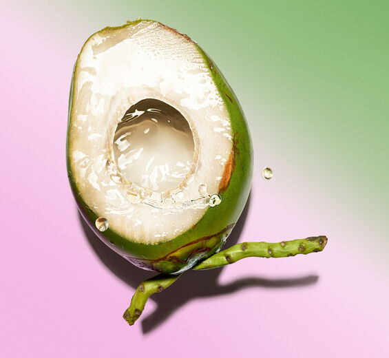 Coconut Tree-Organic coconut water-Cocos nucifera (coconut) fruit juice