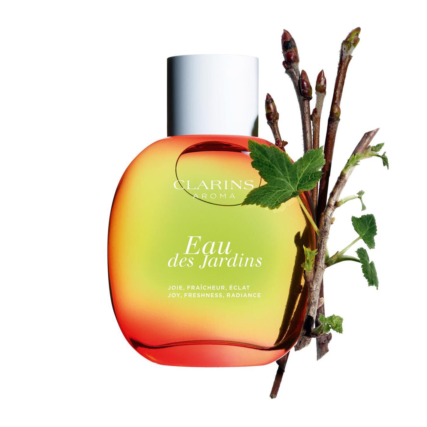 Clarins dynamisante perfume cheap