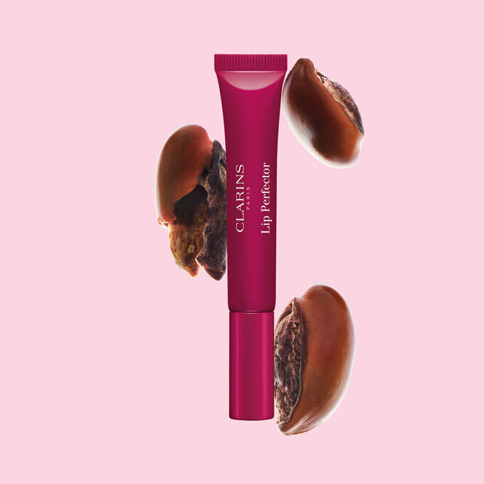 Plumping lip perfector tube shown with raw shea seeds to highlight the intense lip care formula for deep nourishment effect