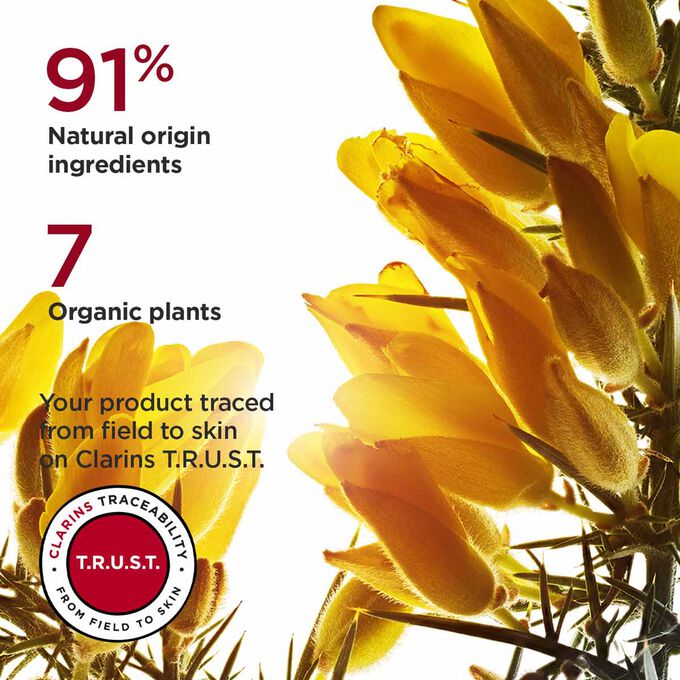 Focus on Ajunc flower, highlighting 94% natural origin ingredients and 7 organic plants used in Retinol-Like Night cream for dry skin