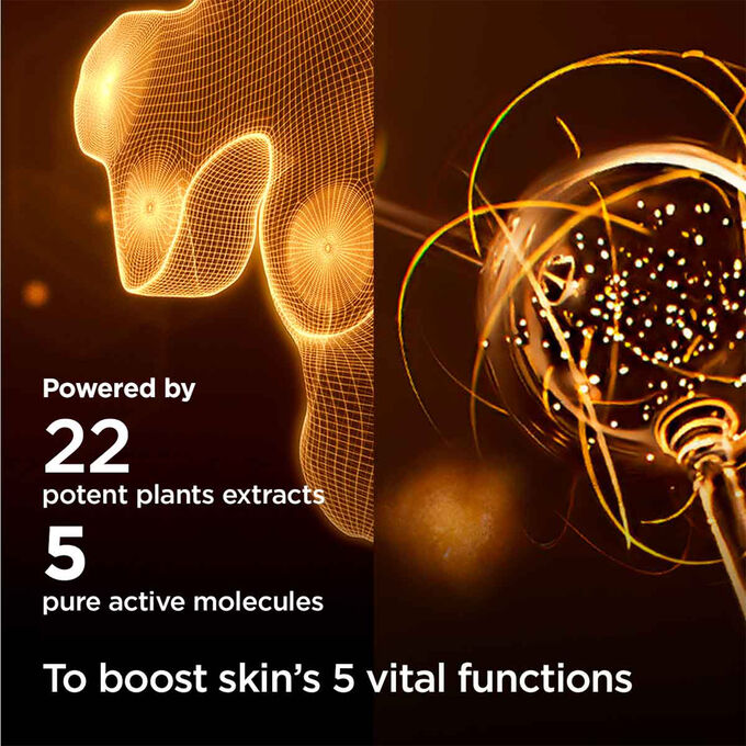 Double Serum &amp; Nutri-Lumi&egrave;re Collection