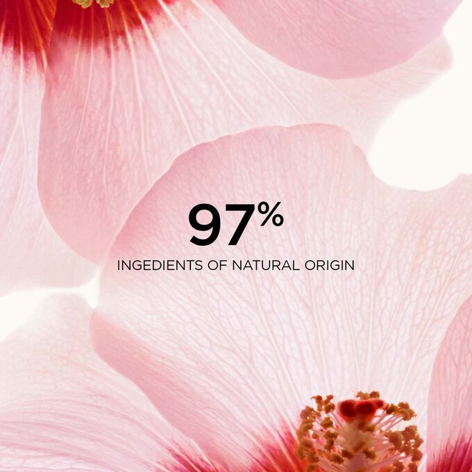 Close-up of two hibiscus flowers to highlight that 97% of the ingredients in the Renew-Plus Body Serum are of natural origin.