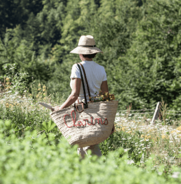 Clarins basket