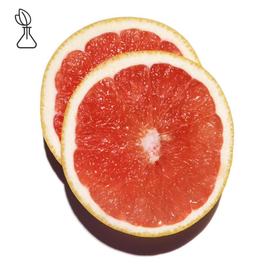 Grapefruit tree-Grapefruit extract-undefined