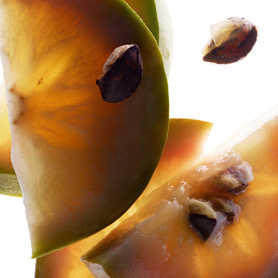 Star apple tree-Vu sua extract-Chrysophyllum cainito fruit extract