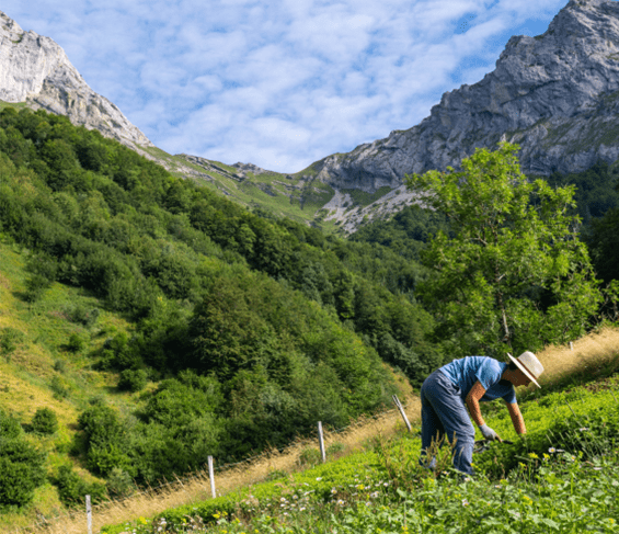 koncepció paysage suisse anti aging legjobb cc krém 2020