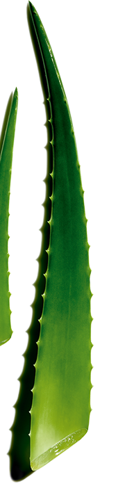 How can I achieve a healthy, radiant tan?