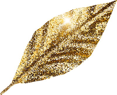 Chrismas background decoration with specks and golden elements